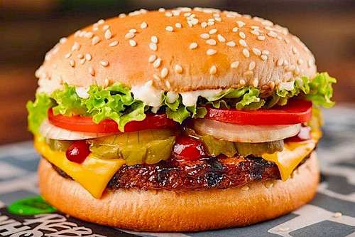 Burger with Cheese